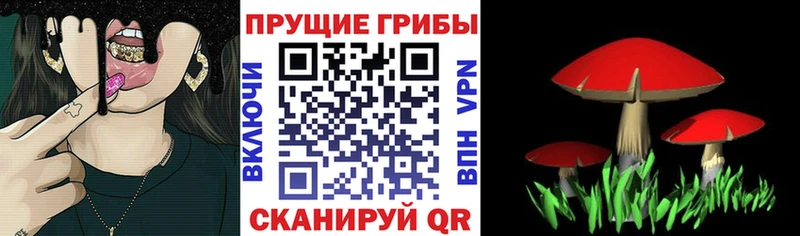 что такое   Реж  Галлюциногенные грибы ЛСД 